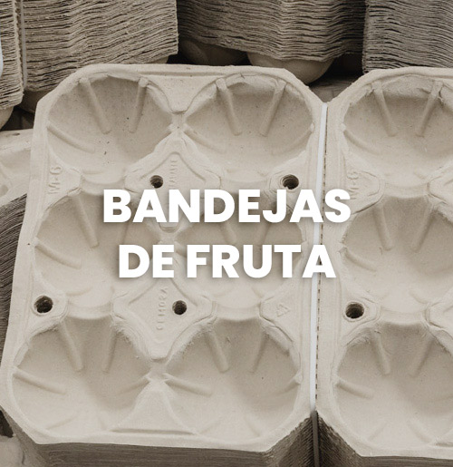 bandejas-de-fruta