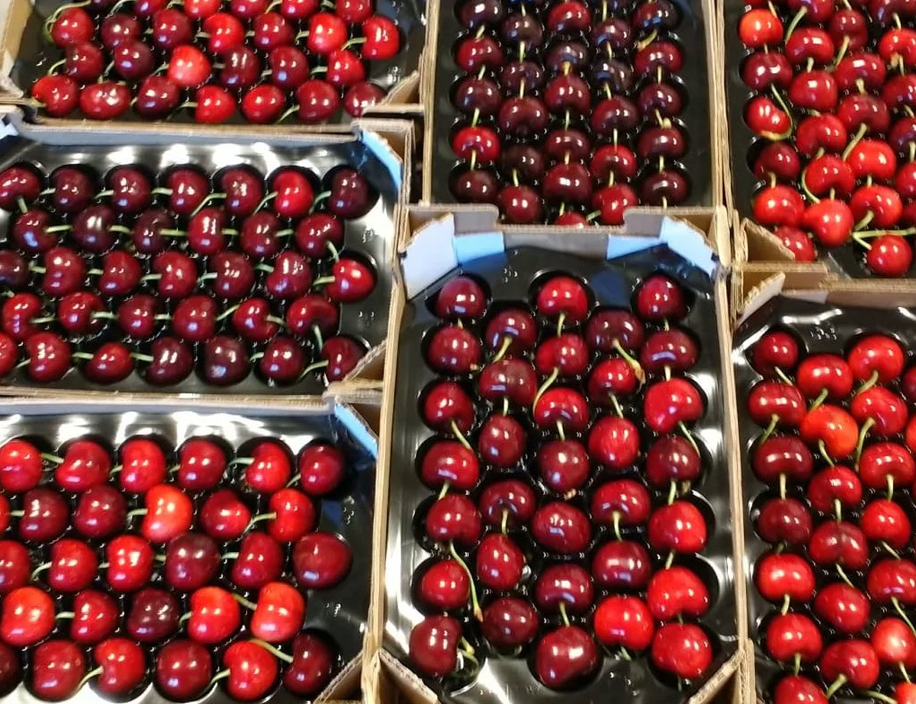cereza